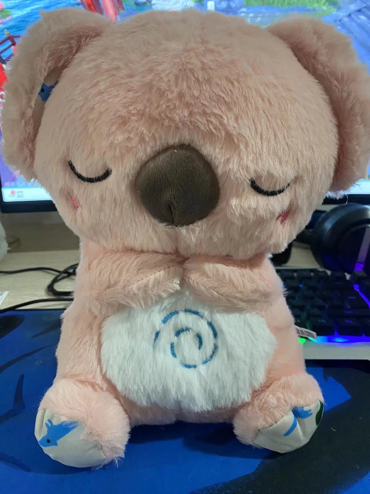 Peluche Koala Anti Estrés
